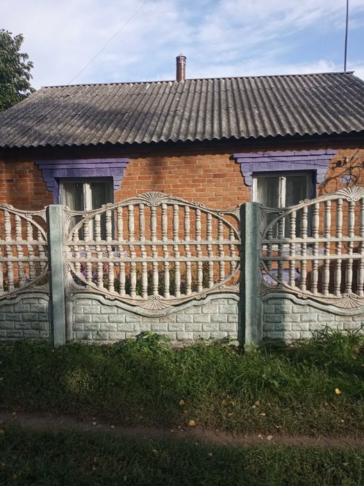 Продається будинок з садом і городом