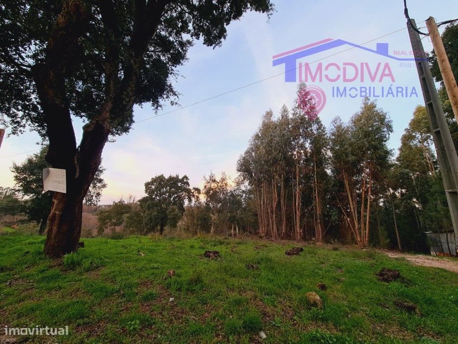 Terreno para construção de moradia em Figueiró dos Vinhos