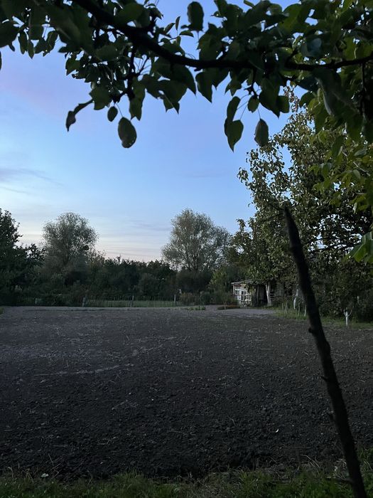 Продам дачну ділянку