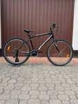 Rower DEMA Modet Ecco