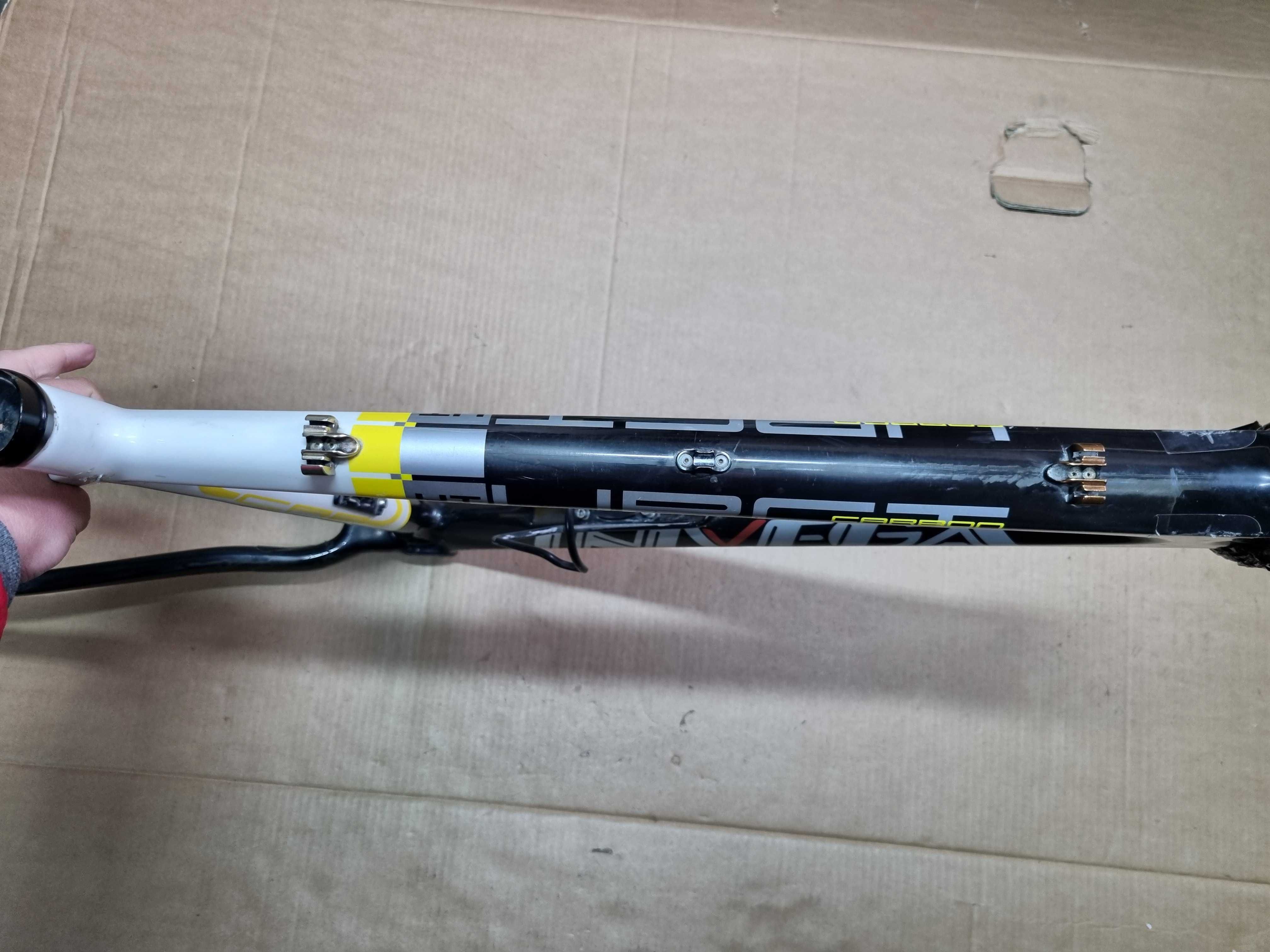 Rama Univega Alpina Carbon UPCT HT , 26