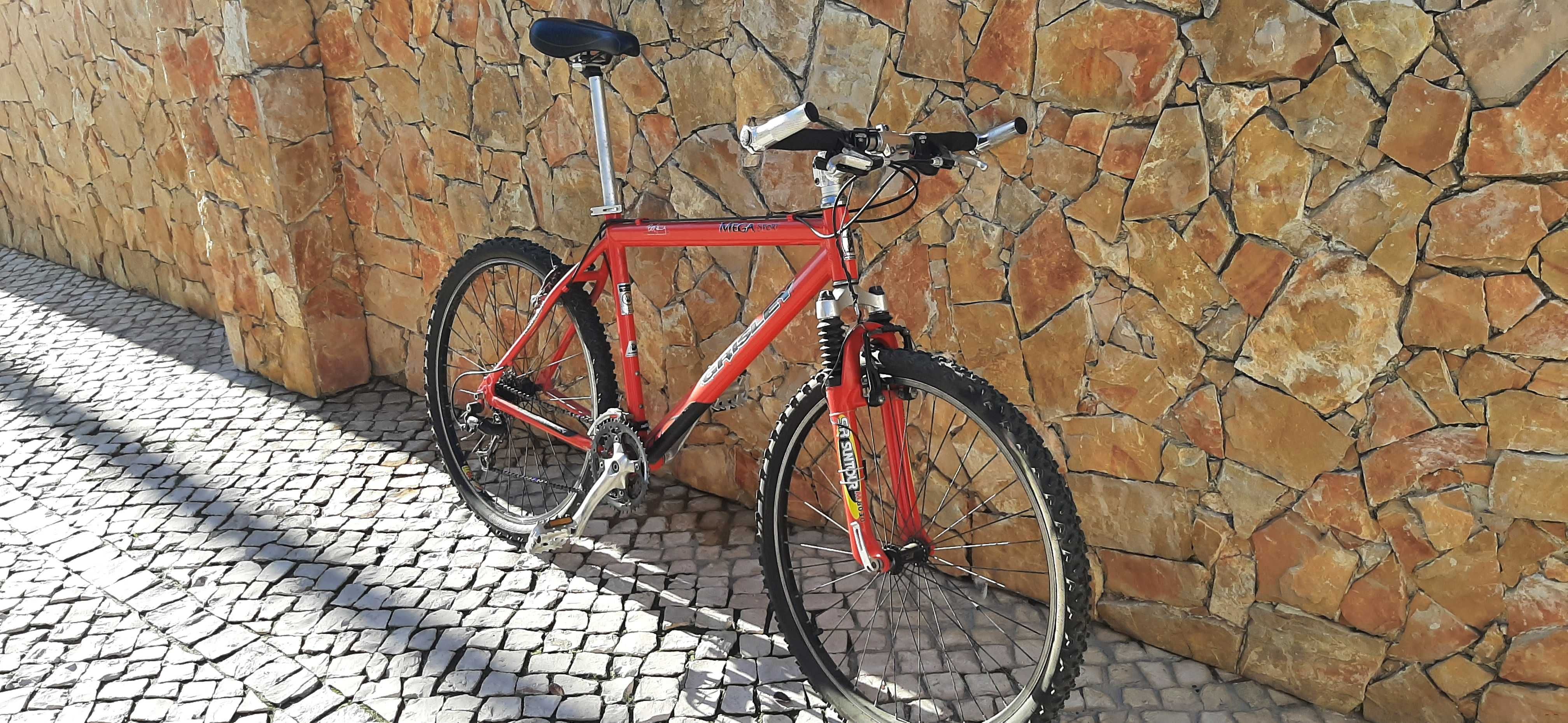 Bicicleta de Montanha