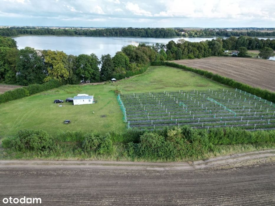 Działka z WZ, linią brzegową jeziora,prywatną plażą i winnicą