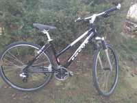 FOCUS CHILLIWACK rower trekkingowy Damka Alu Koła 28'' Shimano
