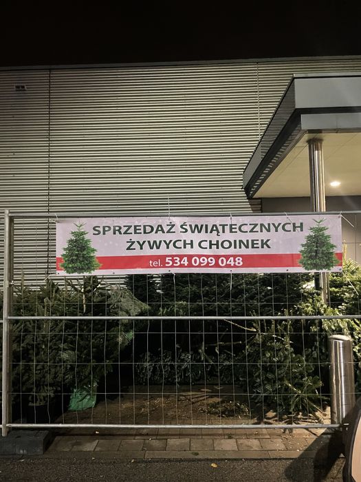 Choinki świąteczne Słupia Sosnowiec Dąbrowa Górnicza Piekary Śląskie