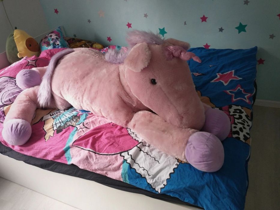 Duży Mis jednorozec