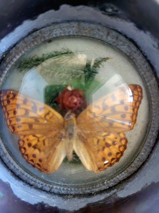 Cinzeiro bronze borboleta