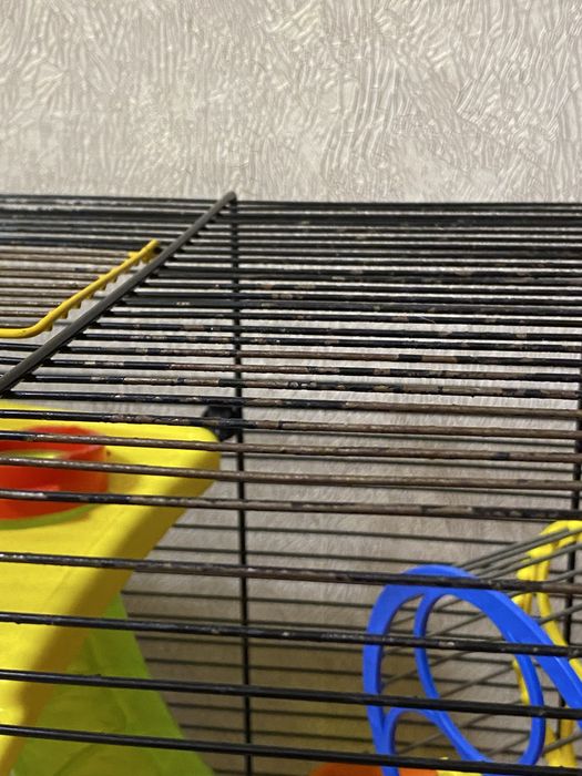 Продам клітку для хомʼяка з усім, що на фото