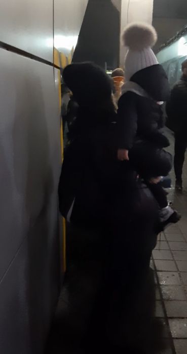 Шапочка та снуд на дівчинку 2-3 роки.