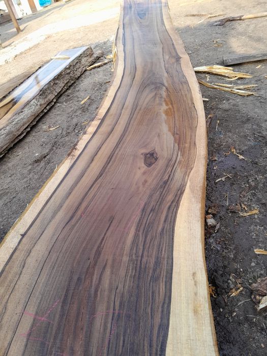 Горіх слеб липа дошка липи вільха