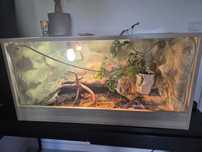 Terrarium stepowe.