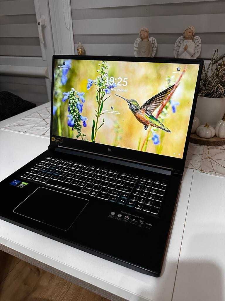 Laptop gamingowy Acer Predator Helios 300