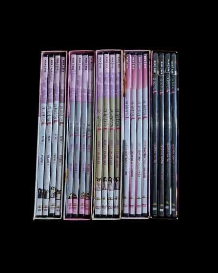 Série A LETRA L - Temporadas 1-5 / 20dvds / Desejo, Amor, Vida