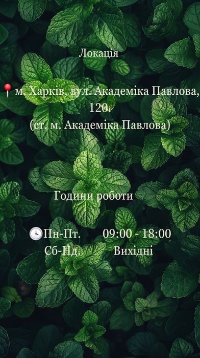 Бухгалтер для ТОВ/ФОП, ПДВ, Акциз, Кадри, Звітність