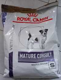 royal canin  mature consult  small dogs veterinary