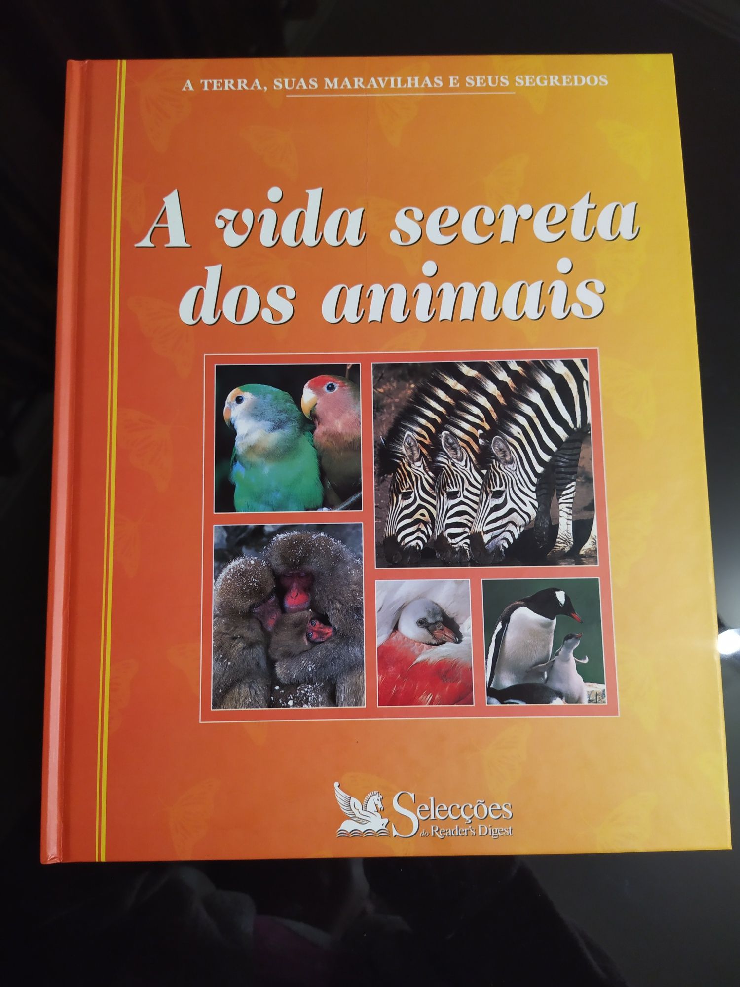 Vendo livros vários temas