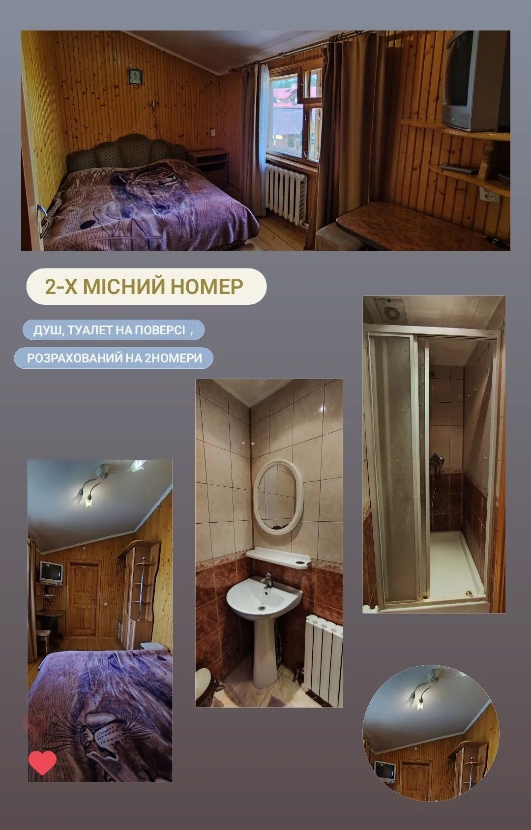 Житло у Славську з басейном  відпочинок з харчуванням садиба Зима-Літо