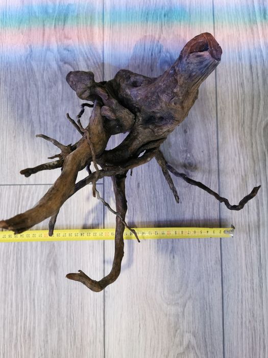 Korzeń red moor do akwarium.