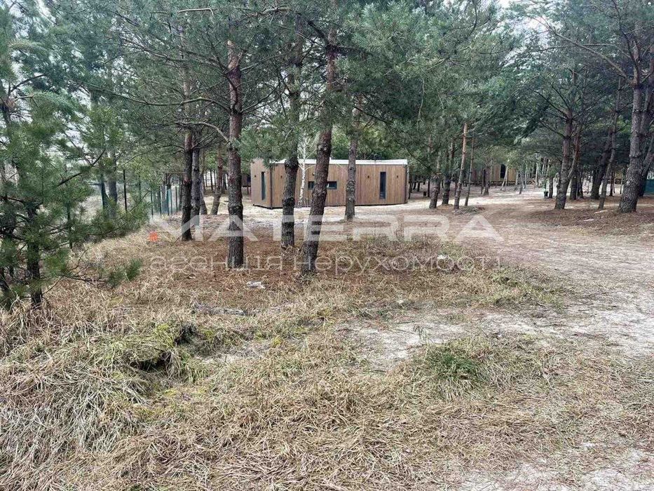 Продаж ділянки 2,75 Га 500кВт своє озеро ліс біля КМ Dogoda Дзвінкове