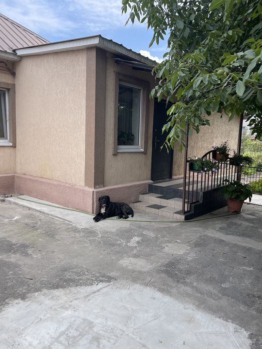 Продам дом с ремонтом и мебелью, Березановка (Левый берег)