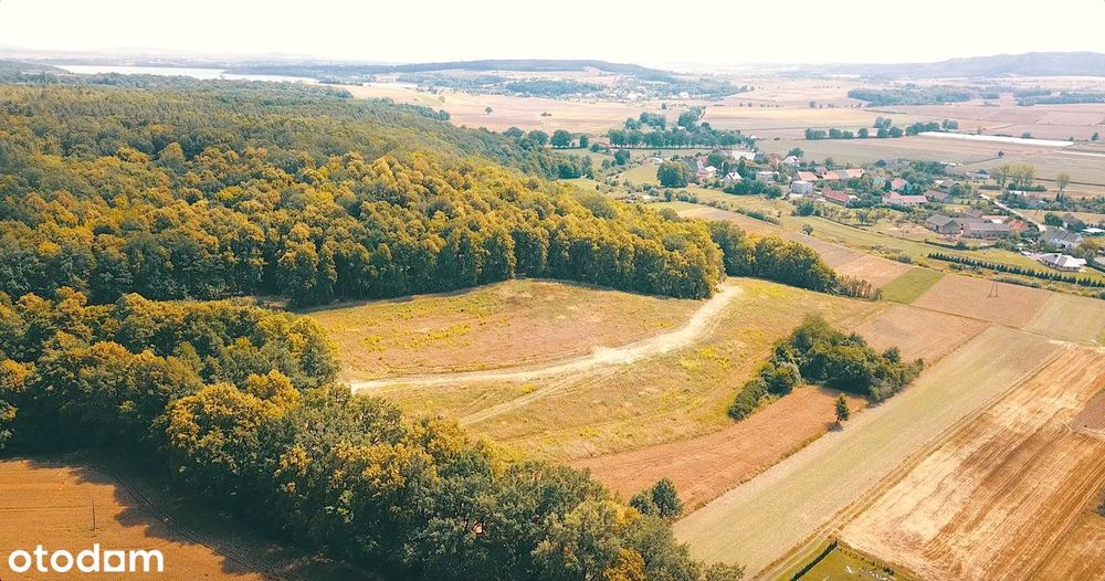 Winnica działka pod lasem 1207 m2