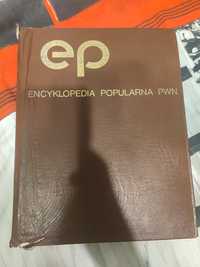 Encyklopedia popularna PWN 1982