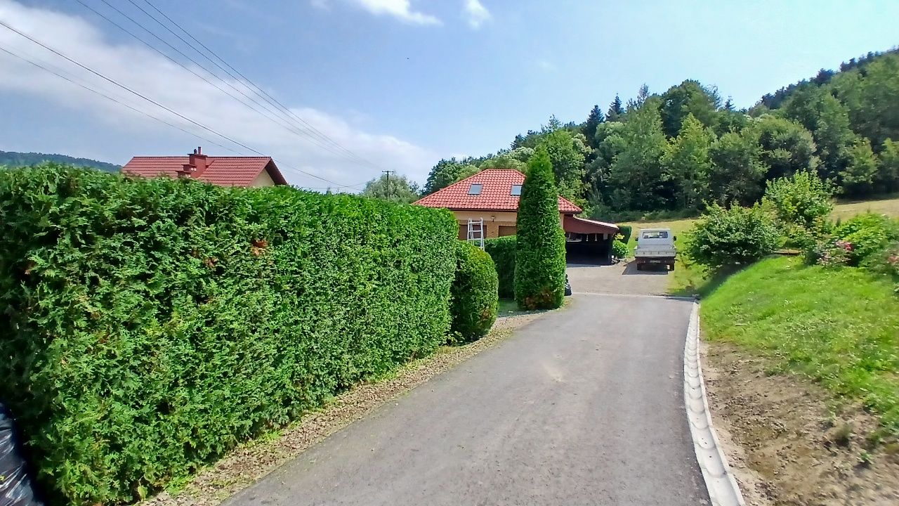 Usługi ogrodnicze, utrzymanie ogrodów, wycinka drzew.