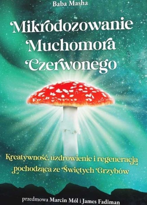 Mikrodozowanie muchomor czerwony Amanita muscaria