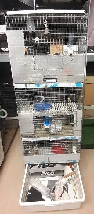 Jaula em  coluna  de apartamentos da para cinco casais