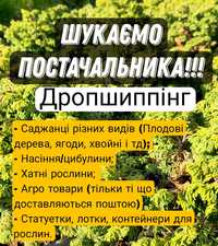 Шукаємо постачальника саджанців, квітів, сад, город дропшиппінг