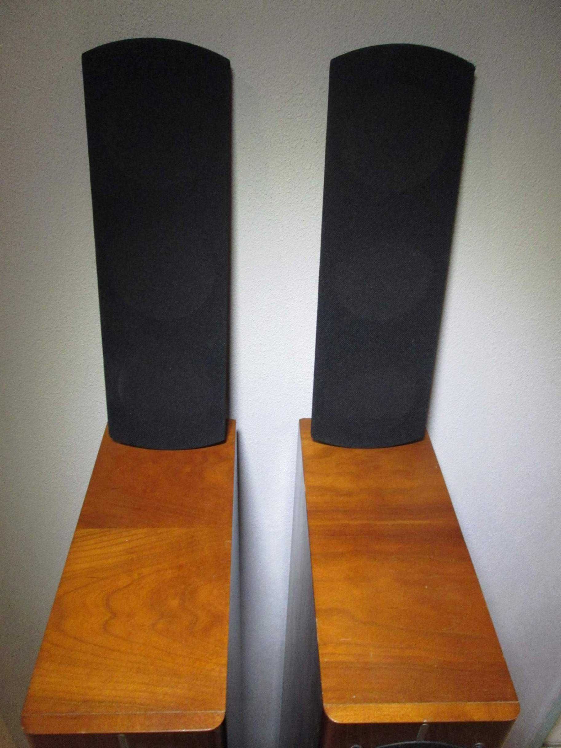 ASW Cantius 404 Germany 100/150W - Kolumny do bardzo lekkiego zadbania