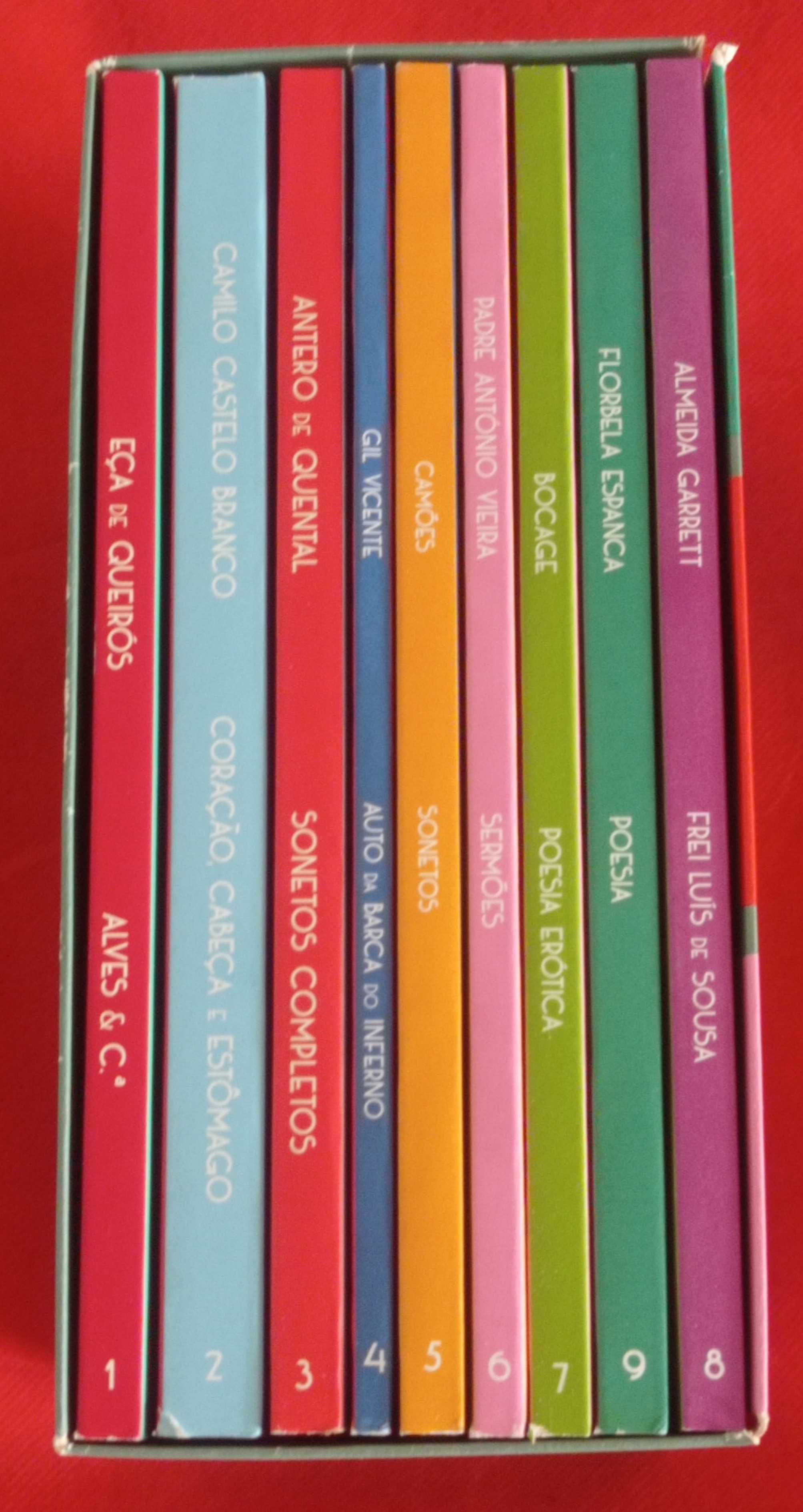 Coletânea completa Literatura (volumes).