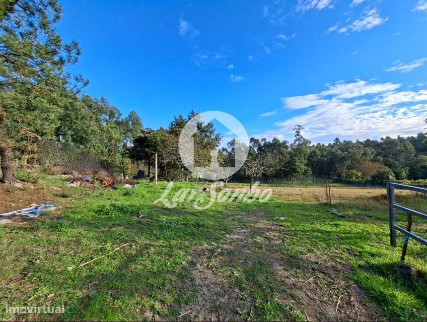 Magnífico terreno misto com 8.500m2 em Barcelos!