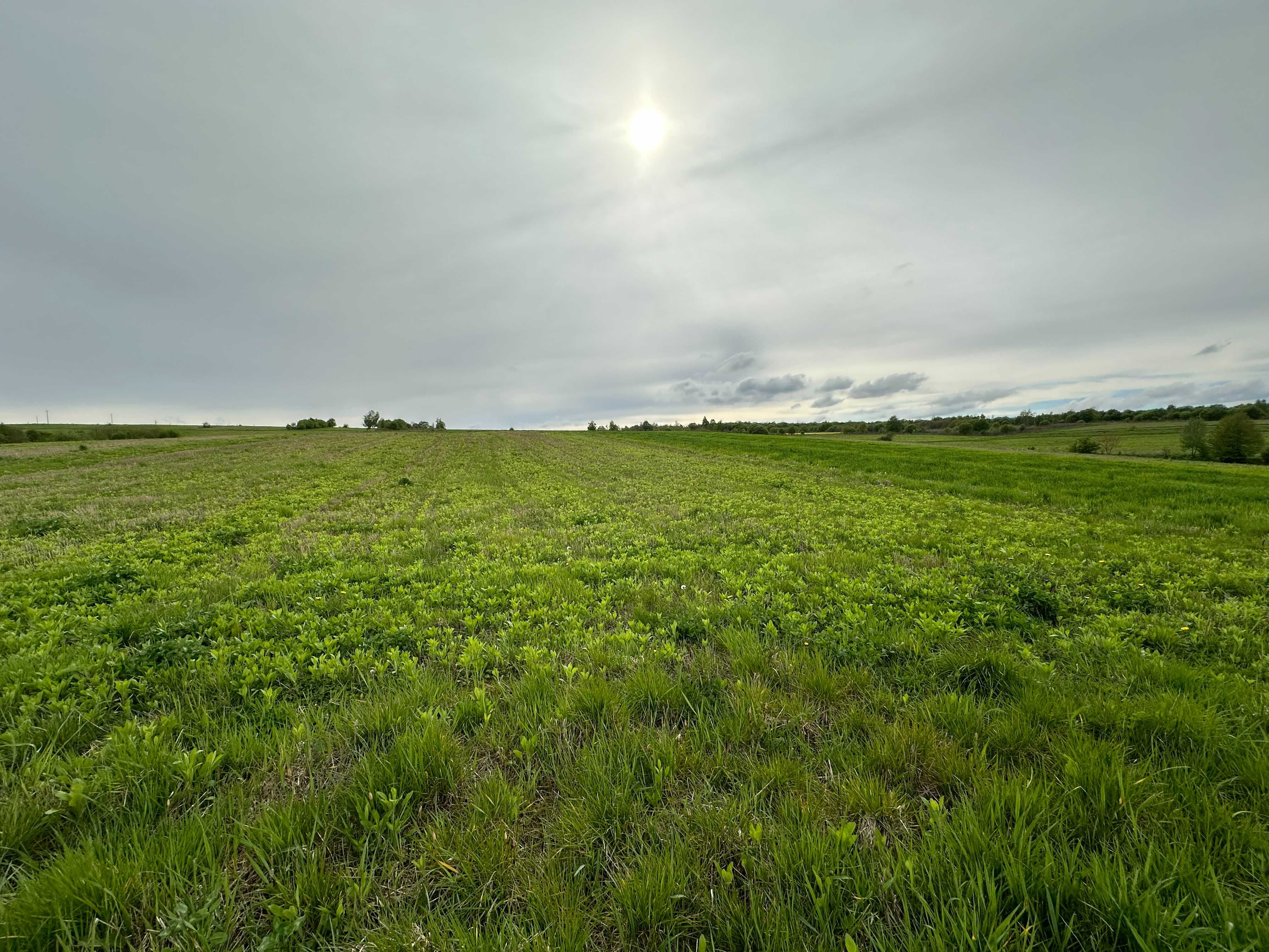 Продаю власну ділянку з будинком в с.Старе Село, Пустомитівський район