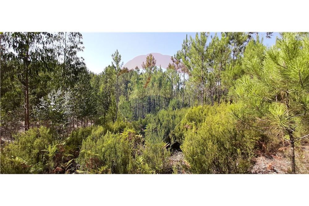 Terreno  para venda