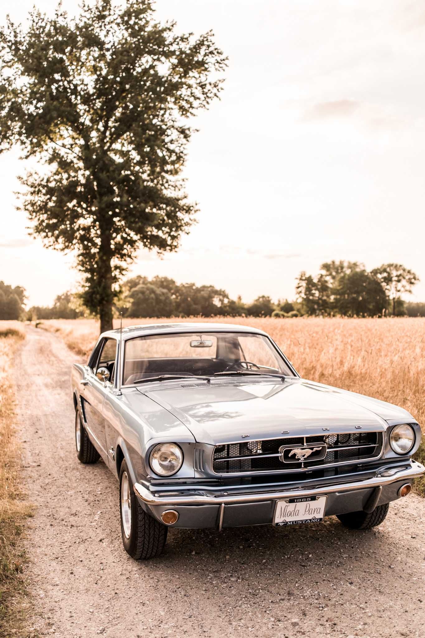 Auto do ślubu Ford Mustang 1965 (Płock i okolice +100km, Warszawa)