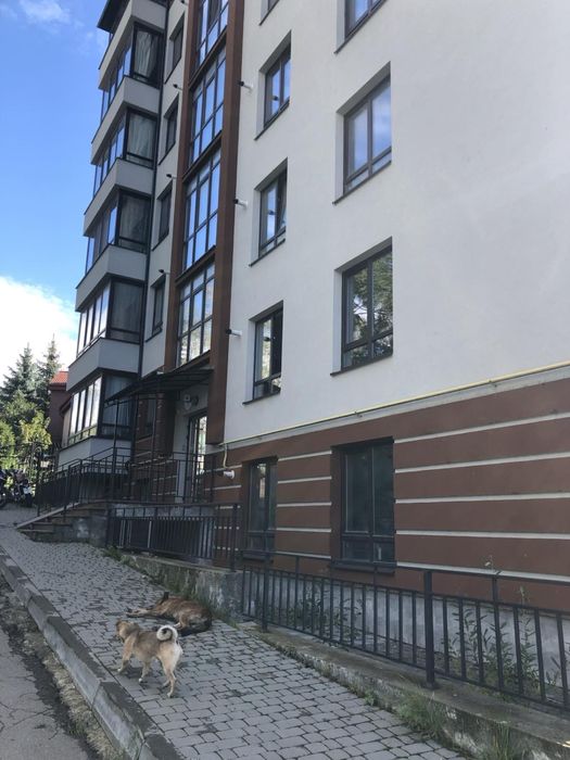 Здається 2-х кімнатна квартира в центральній частині міста (подобово)