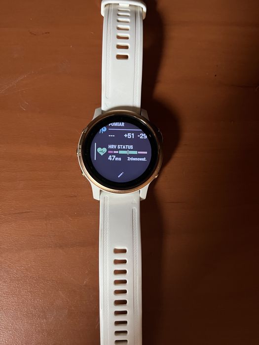 Garmin Fenix 6spro