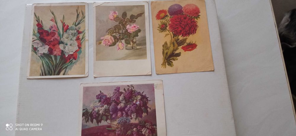 Открытки "Цветы" 60-е годы СССР