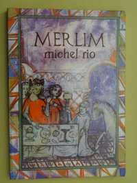 Merlim de Michel Rio