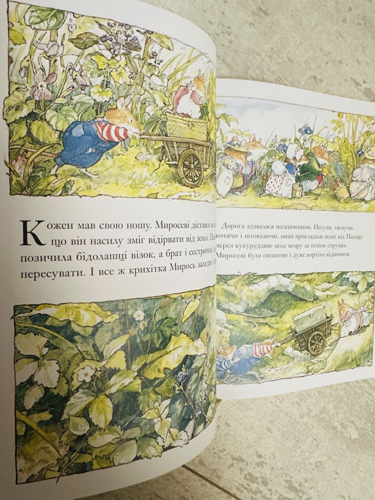 Книжка «Рік в Ожиновому Живоплоті»