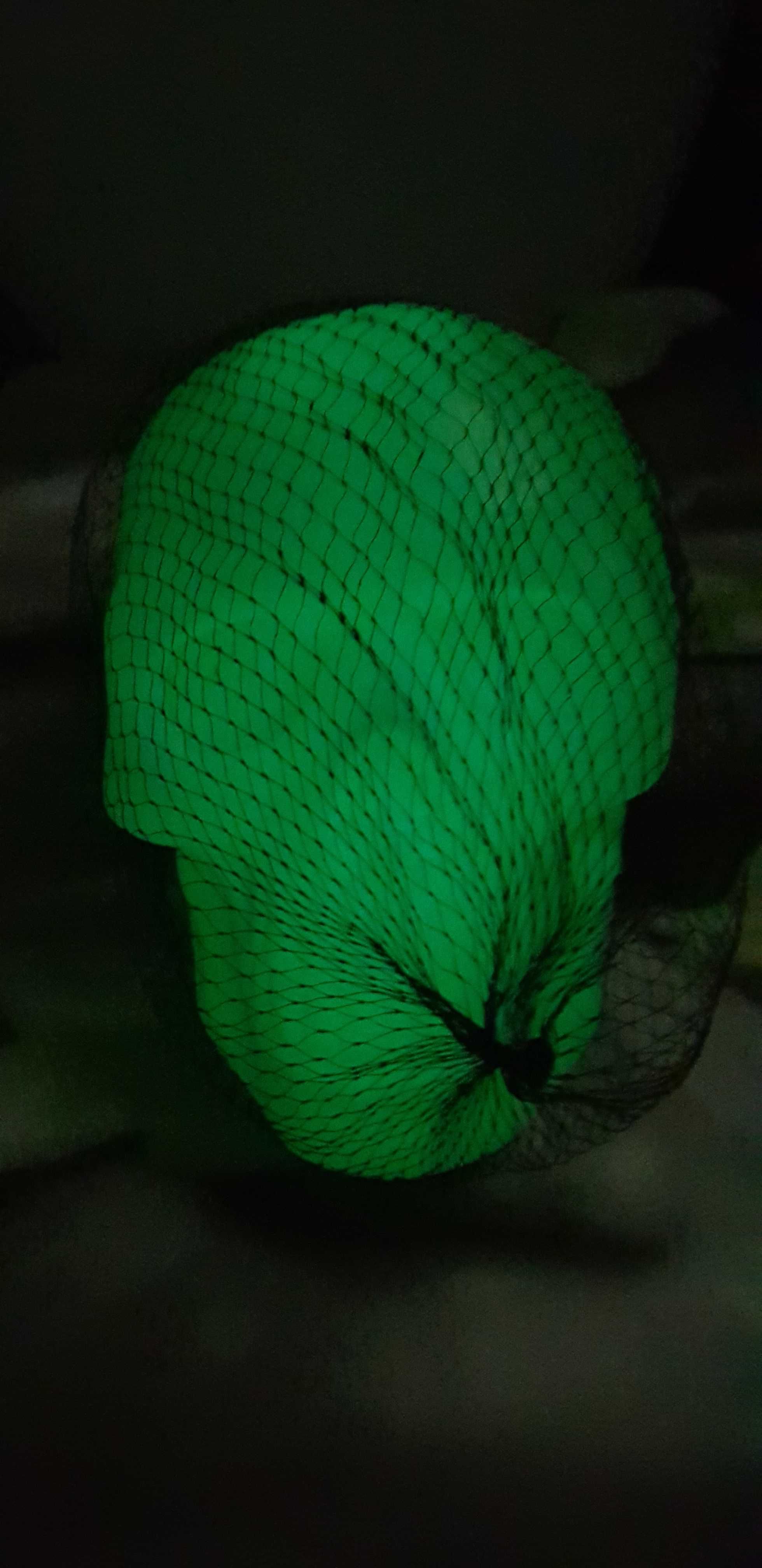 Czaszka fluorescencyjna