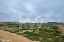 Terreno Agrícola em Peniche com mais de 1ha - Atouguia da Baleia