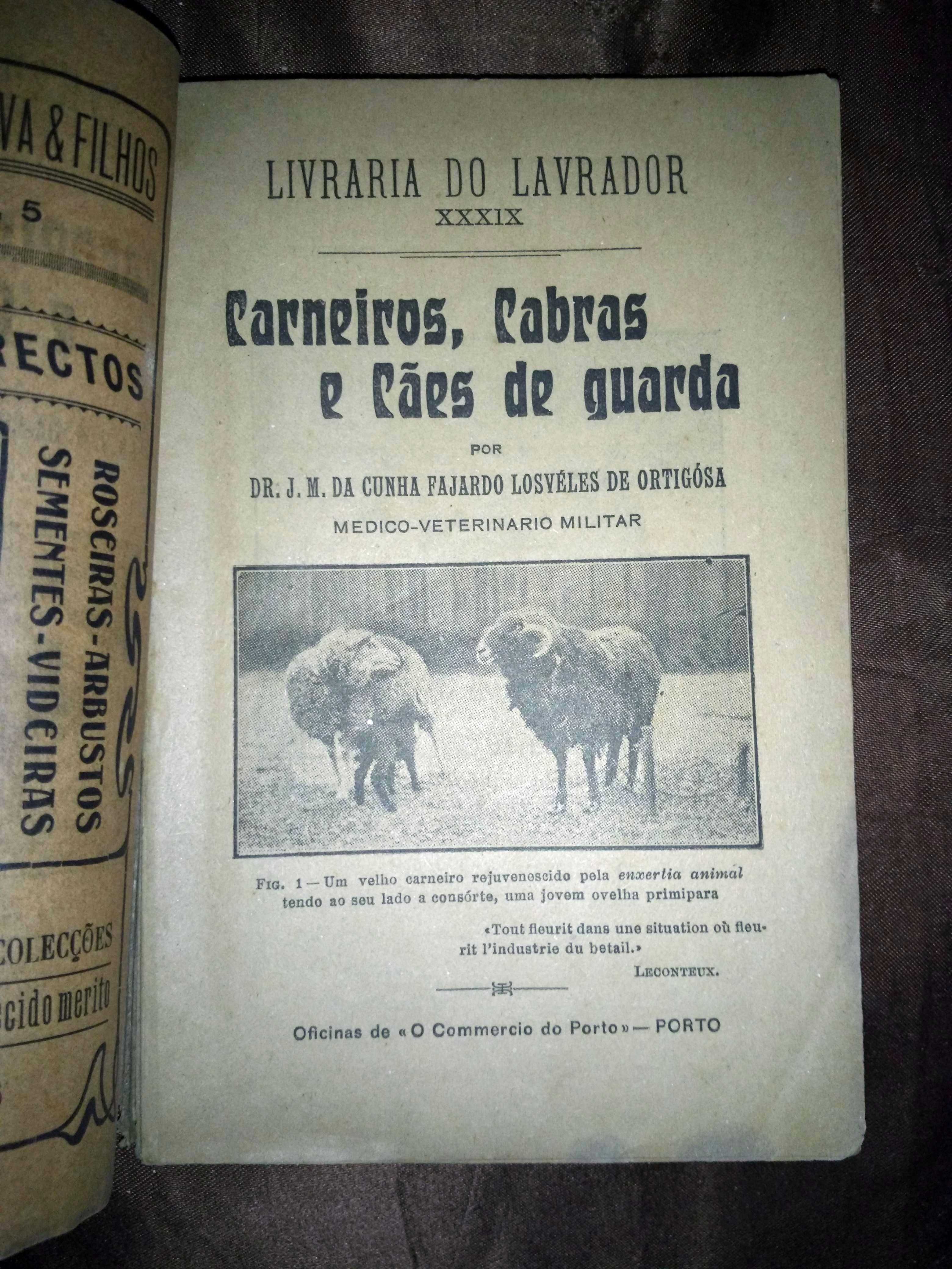 Carneiros, Cabras e Cães de Guarda - Livraria do Lavrador