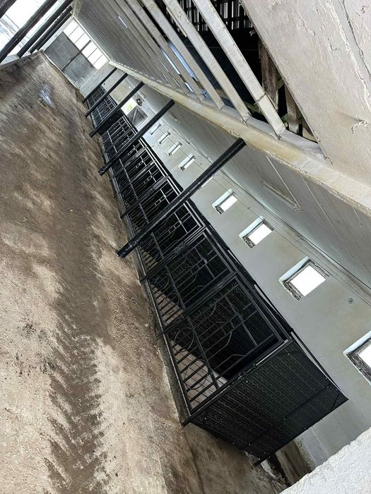 Drabinki paszowe kojce dla cieląt dla bydła skośne