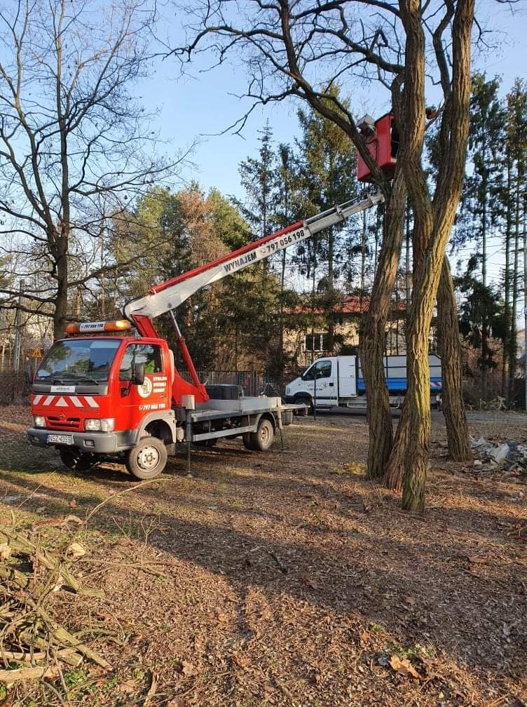 Rębak zrębkowanie utylizacja gałęzi Mielenie czyszczenie wycinka drzew