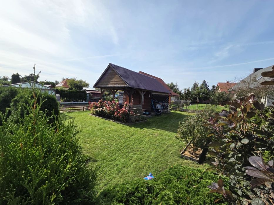 Ogródek działkowy ROD ''Irena'' ul. Kosynierów