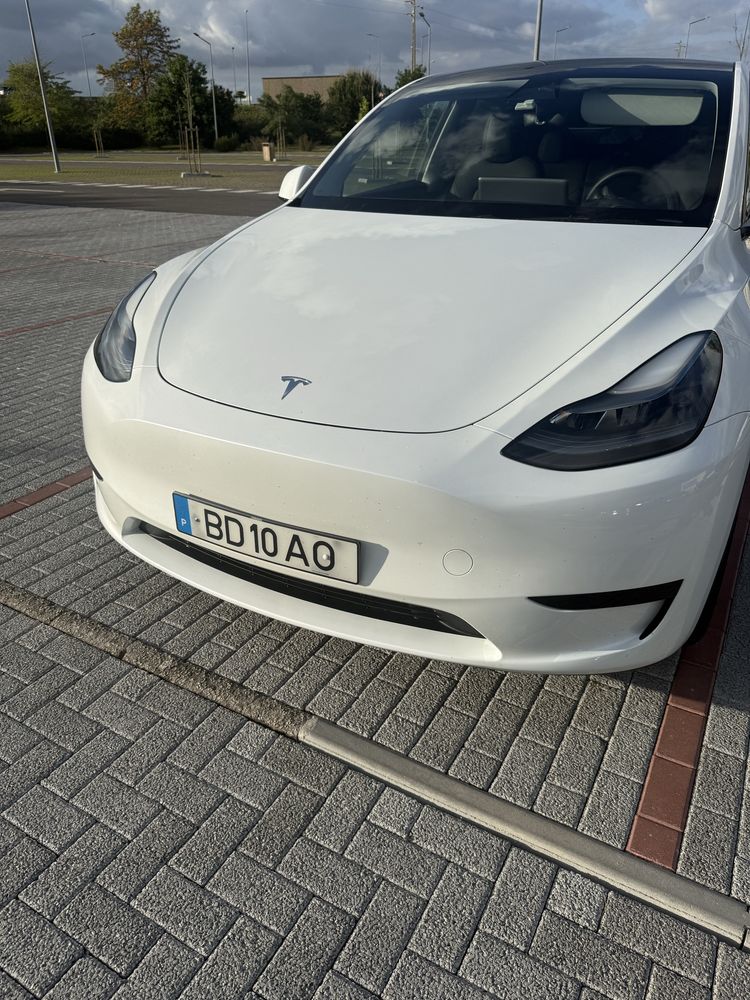 Tesla Y standard range