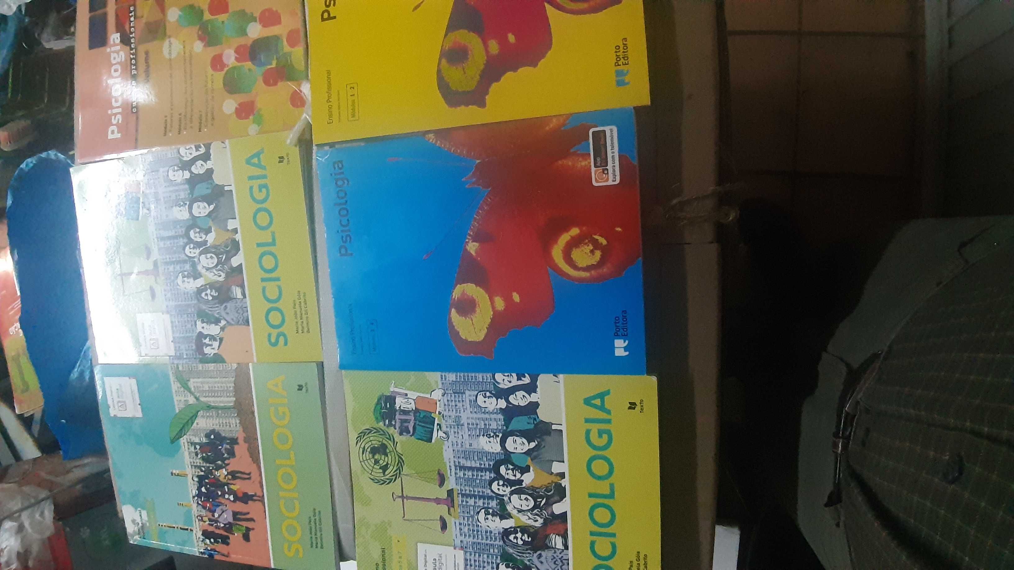 Vários livros escolares