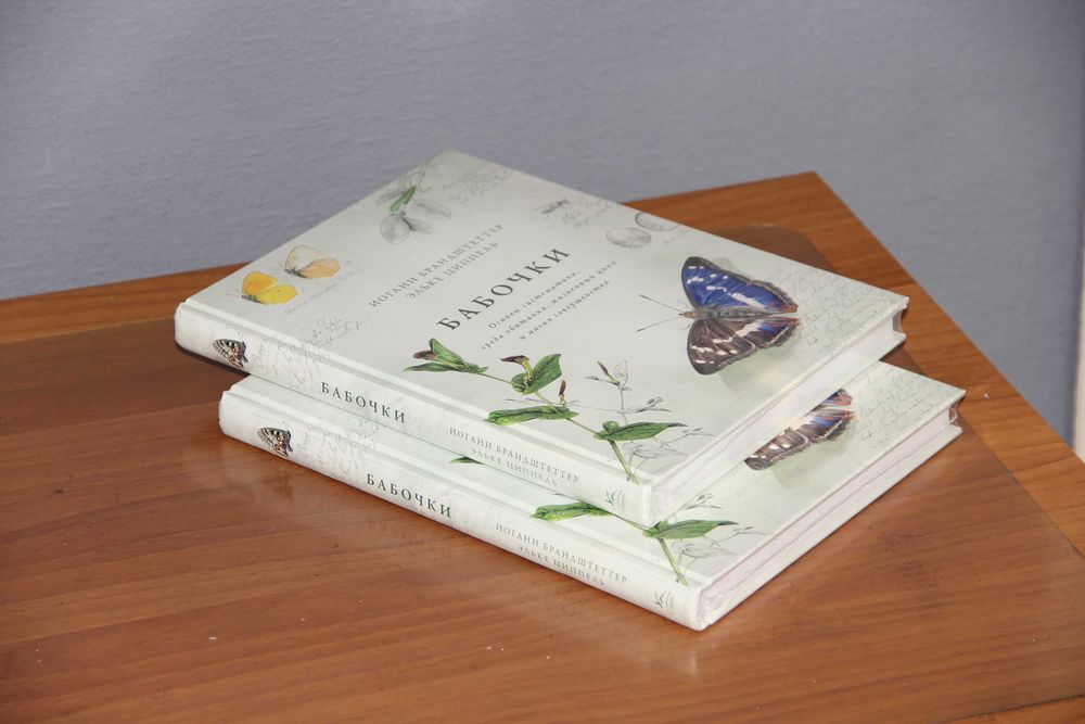 Бабочки. Брандштеттер Циппель. М: КоЛибри 2021 ISBN: 978-5-389-17727-7